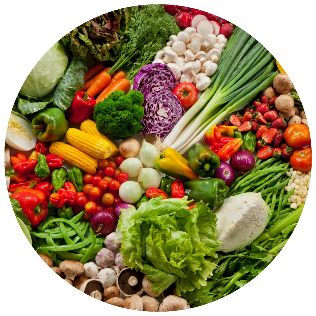 Vegetable Seeds