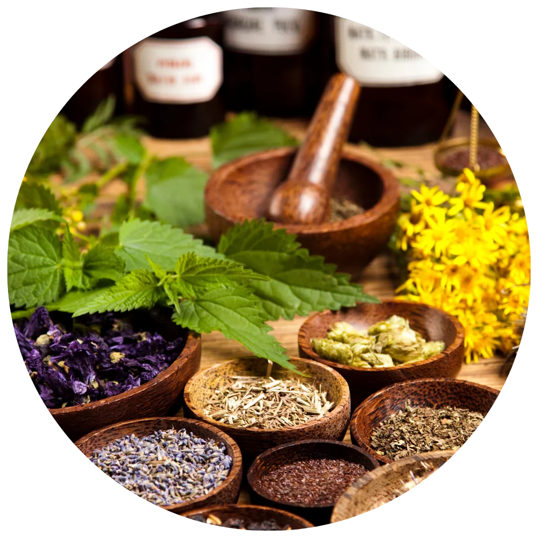Herb Seeds